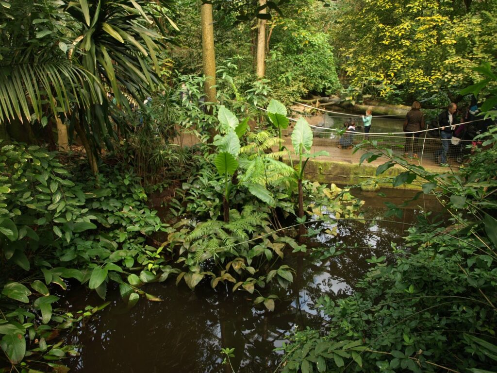 Stoere uitjes? De jungle in!